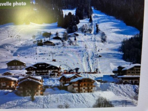 Appt 4 pers terrasse, piscine au pied des pistes FLUMET